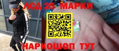 индика Лесосибирск