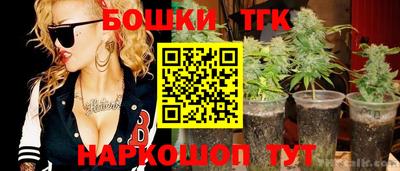индика Лесосибирск