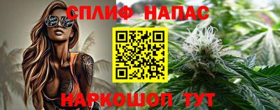 индика Лесосибирск